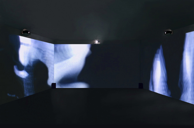 Gunda Foerster, BLACK-OUT-WHITE (Exposure), slide projection + sound, 2000_1